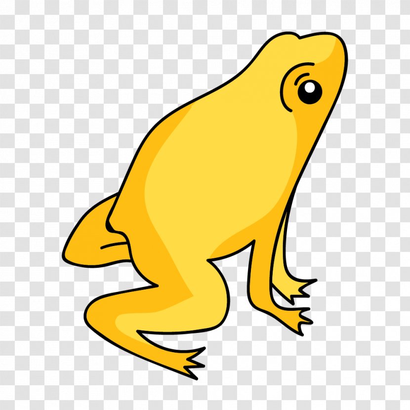 Bullfrog Productions - Tree Frog - Beak Transparent PNG