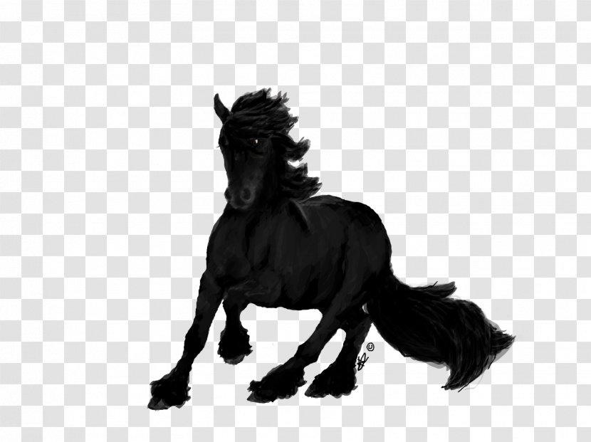 Friesian Horse Mane Mustang Black Forest Stallion Transparent PNG