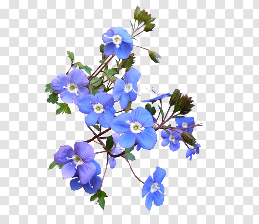 Cut Flowers T-shirt Flower Bouquet Blue Transparent PNG