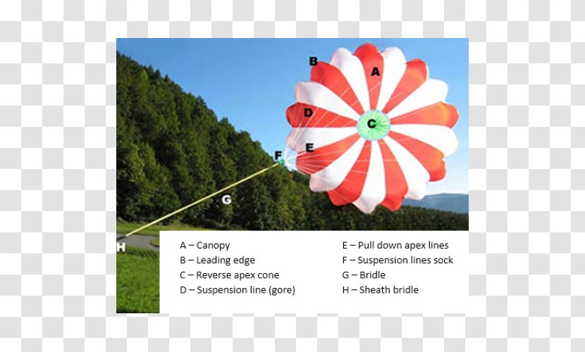 Parachute Parachuting Paragliding Free Fall Advertising - Heart Transparent PNG