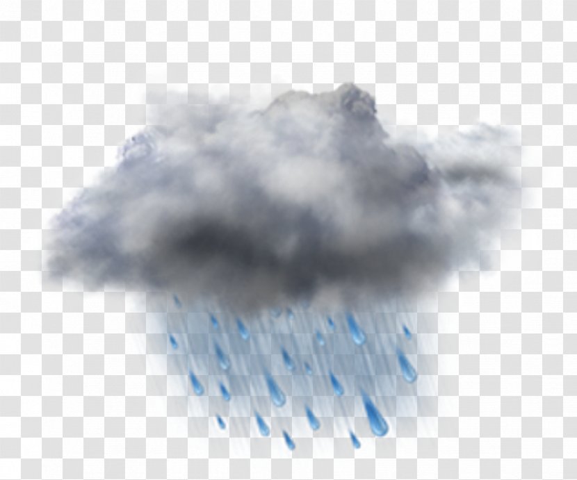Rain Cloud Weather Forecasting Storm Transparent PNG