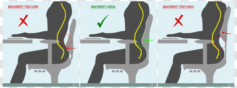 Low Back Pain Office & Desk Chairs Lumbar Sitting - Cushion - Table Legs Transparent PNG