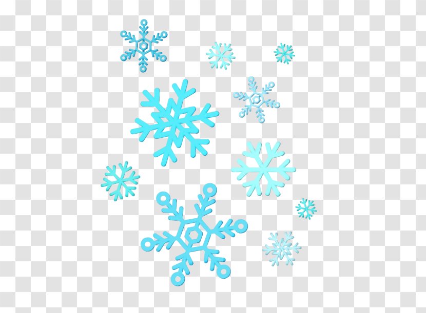 Snowflake Silhouette - Photography - Pedicel Transparent PNG