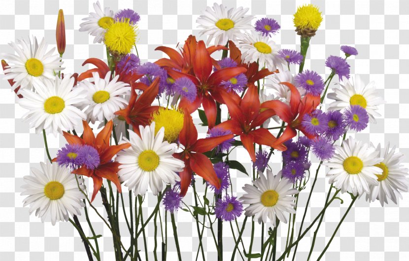 Flower Bouquet Desktop Wallpaper Display Resolution Lilium - Cut Flowers - Camomile Transparent PNG