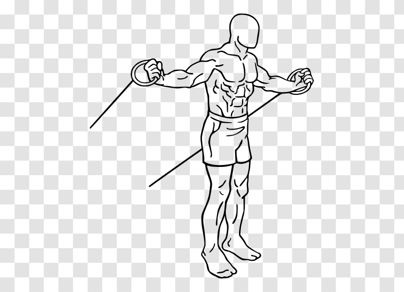 Pulldown Exercise Triceps Brachii Muscle Pushdown Bands - Cartoon - Fly Transparent PNG