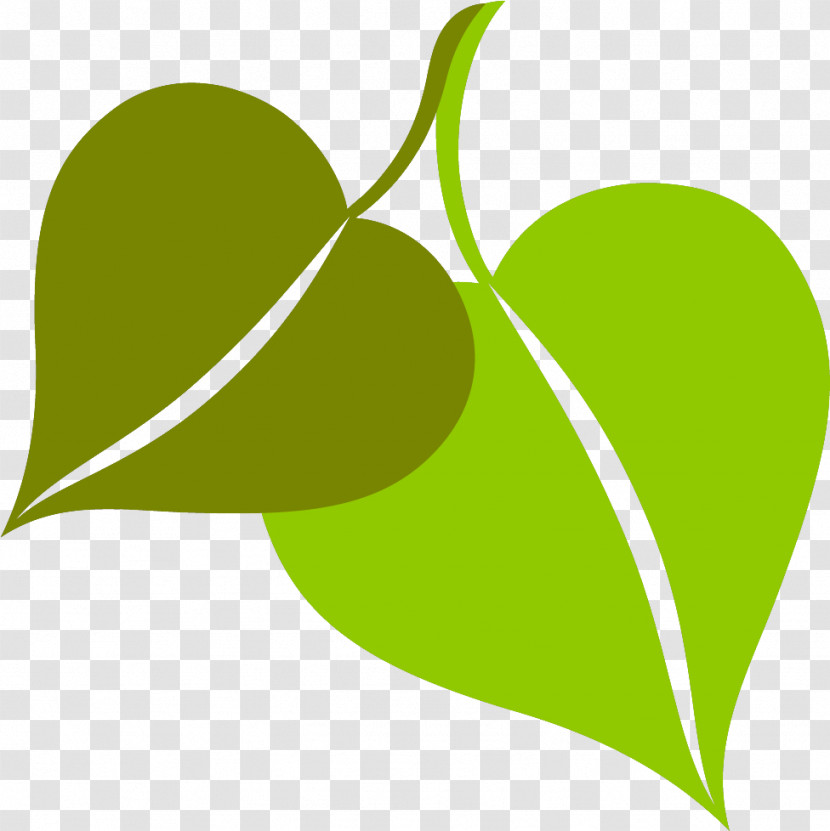 Plant Stem Leaf Green Line Meter Transparent PNG