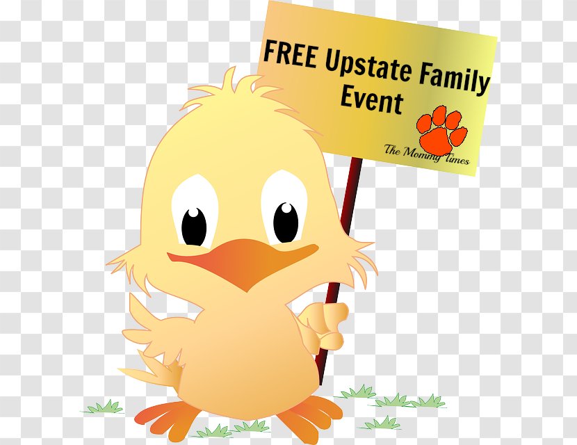 Easter Photography Clip Art - Water Bird - Family Fun Day Transparent PNG