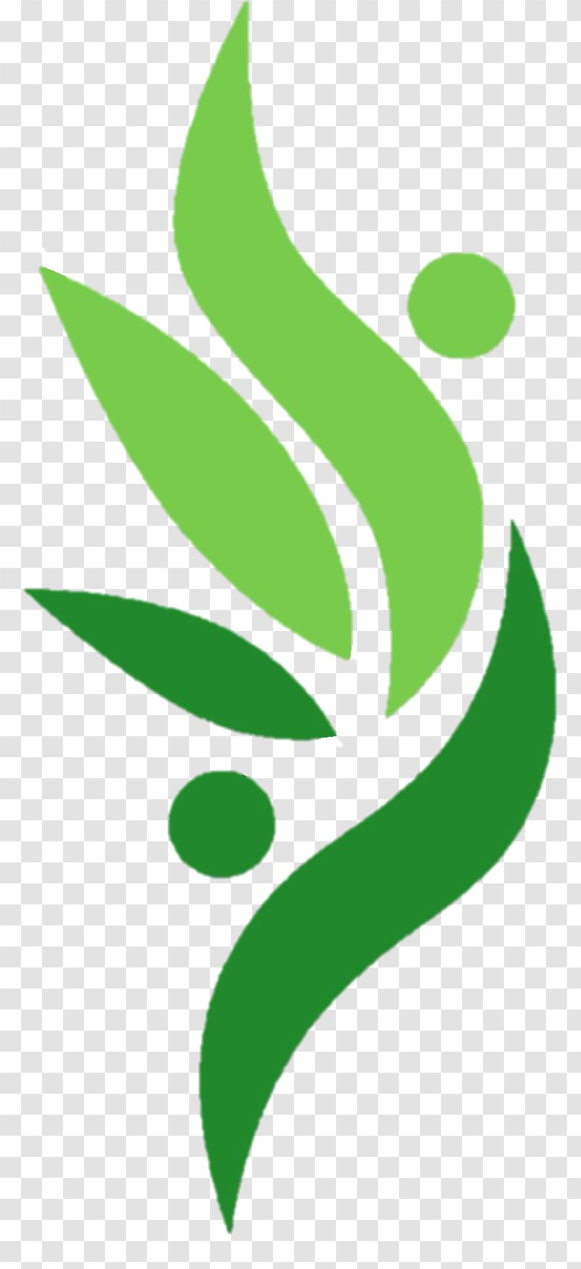 Leaf Green Plant Stem Flower Clip Art - Logo Transparent PNG