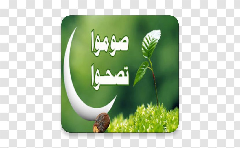 Psychology Fasting In Islam Imam Christianity Java Native Interface - Grass Transparent PNG