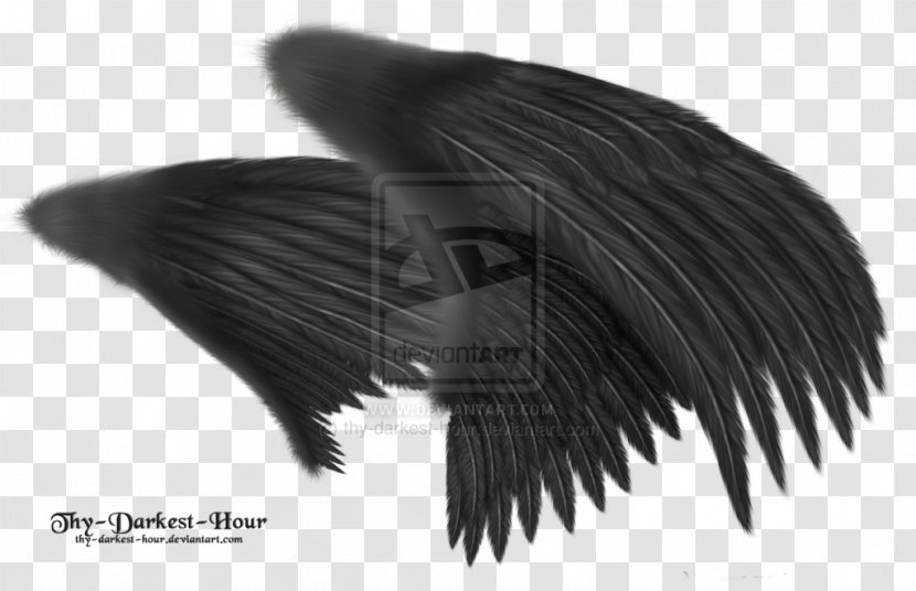 Angel Wing Feather Clip Art - Black Transparent PNG