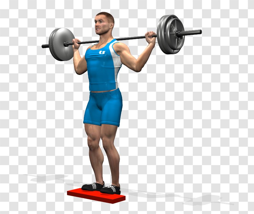 Weight Training Barbell Calf Raises Dumbbell - Tree Transparent PNG