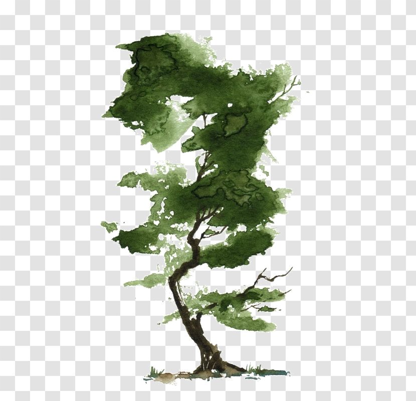 Watercolor Painting Tree Bonsai Art Transparent PNG