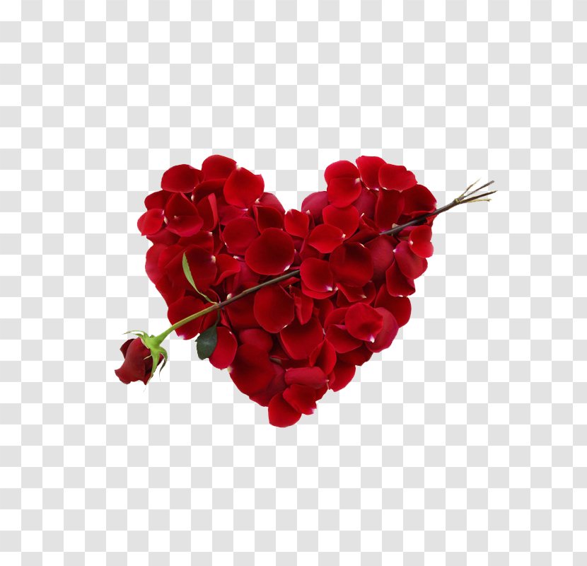 Clip Art Vector Graphics Image Psd - Cut Flowers - Valentine Roses Transparent PNG