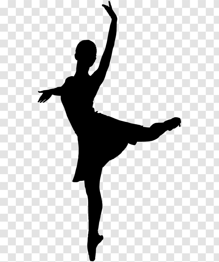 Modern Dance Ballet Dancer Classical - Tutu - Lion Transparent PNG