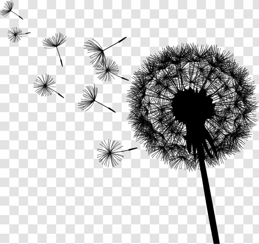 Dandelion Desktop Wallpaper Font Line Computer - Photography - Stock Transparent PNG