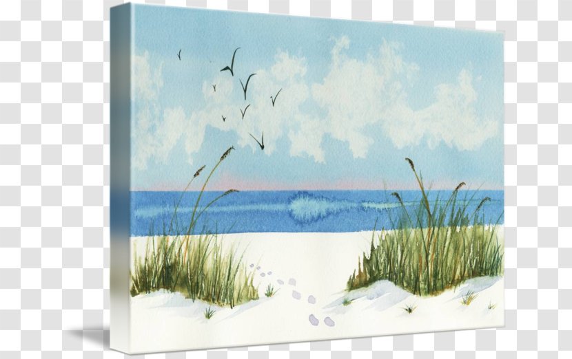 Shore Island Beach State Park Dune Sand - Watercolor Painting Transparent PNG
