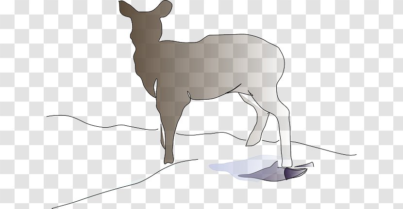 White-tailed Deer Mammal Clip Art Reindeer - Animal - Elk Herd Transparent PNG