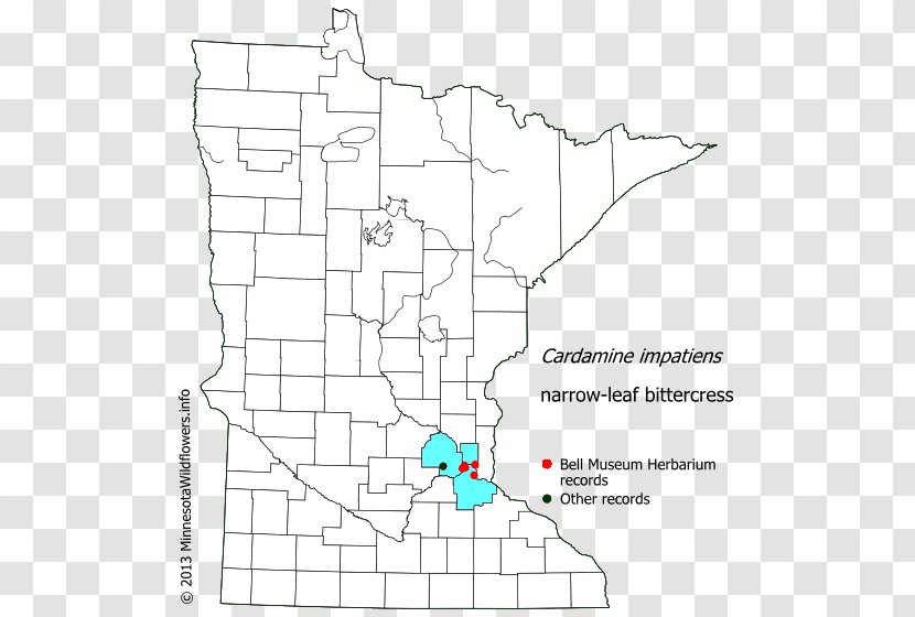 Freeborn County, Minnesota Douglas Carver Redwood Houston - Land Lot - Impatiens Transparent PNG