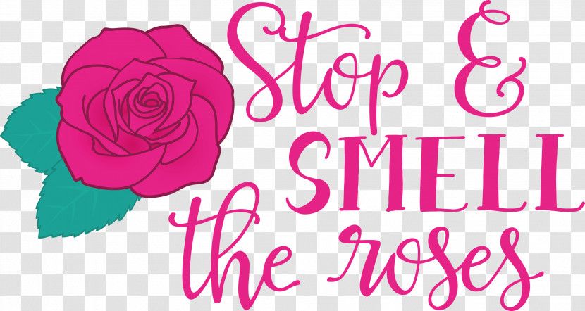 Rose Stop And Smell The Roses Transparent PNG