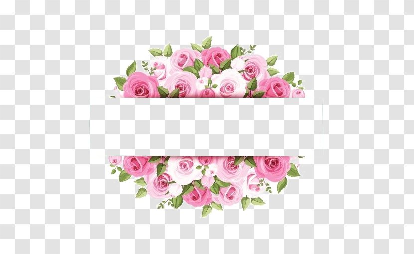 Rose Pink Flower Stock Photography - Pattern - Watercolor Borders Transparent PNG