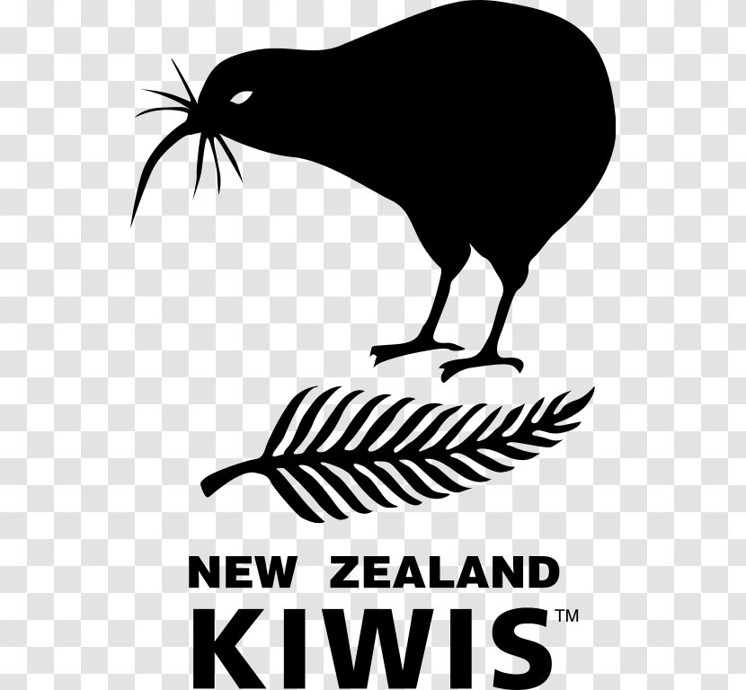 New Zealand National Rugby League Team Union World Cup - Wing Transparent PNG