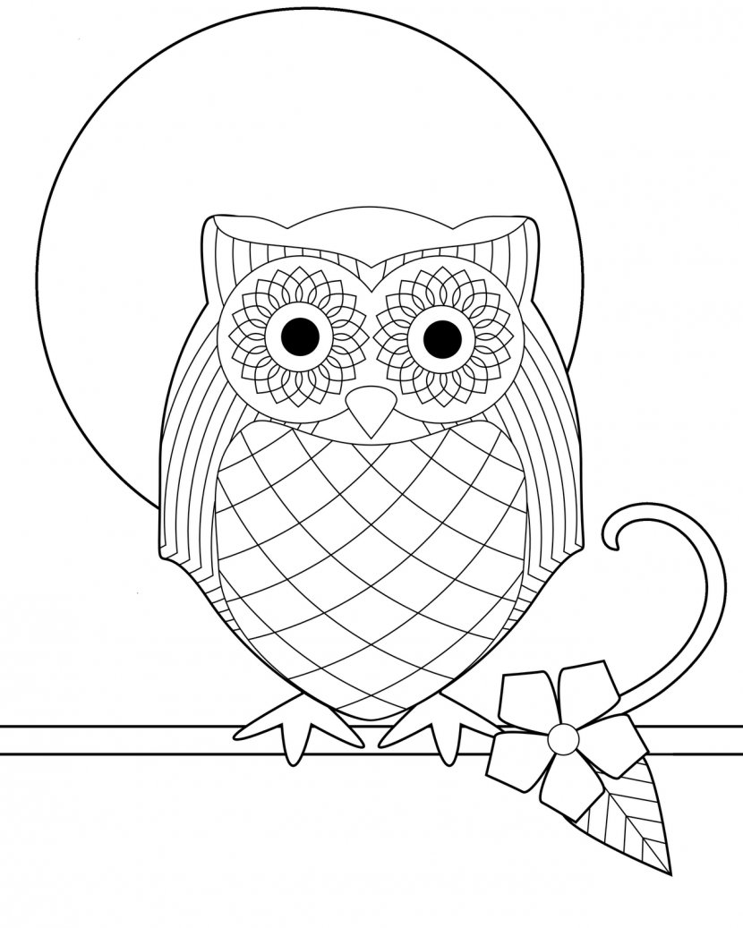 Snowy Owl Bird Coloring Book Adult - Watercolor - Cute Baby Pages Transparent PNG