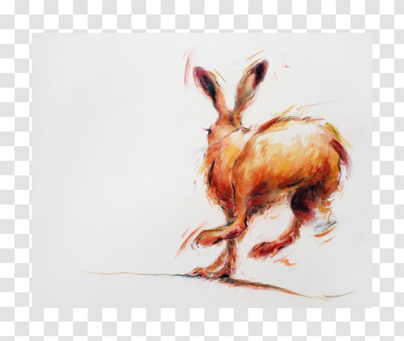 Hare Painting Fauna - Drawing Transparent PNG