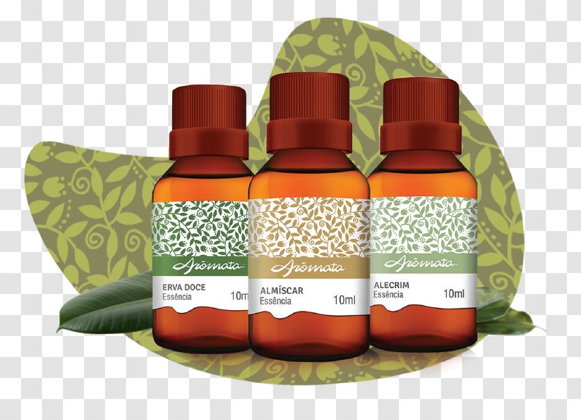 Essential Oil Eucalyptus Gum Trees Aromata Transparent PNG