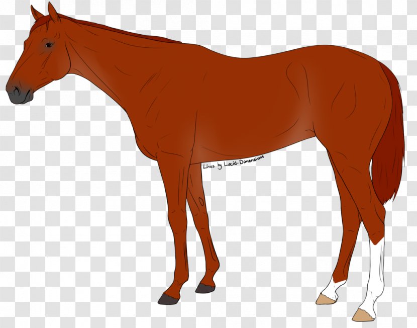 Mule Pony Mustang Foal Stallion - Horse Harness Transparent PNG