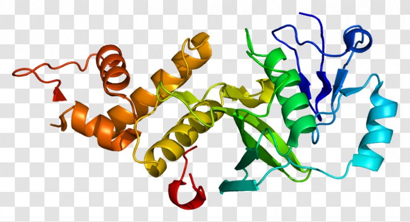 KAT5 Histone Acetyltransferase Endothelin Beta-galactoside Transacetylase - Cartoon - Watercolor Transparent PNG