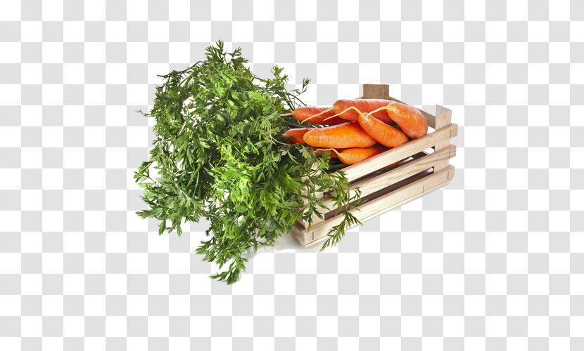 Carrot Vegetable Vegetarian Cuisine Fruit Food - Eintopf - Fresh Vegetables Transparent PNG