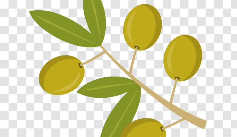 Olive Leaf Yellow Plant Tree - Flowering Flower Transparent PNG