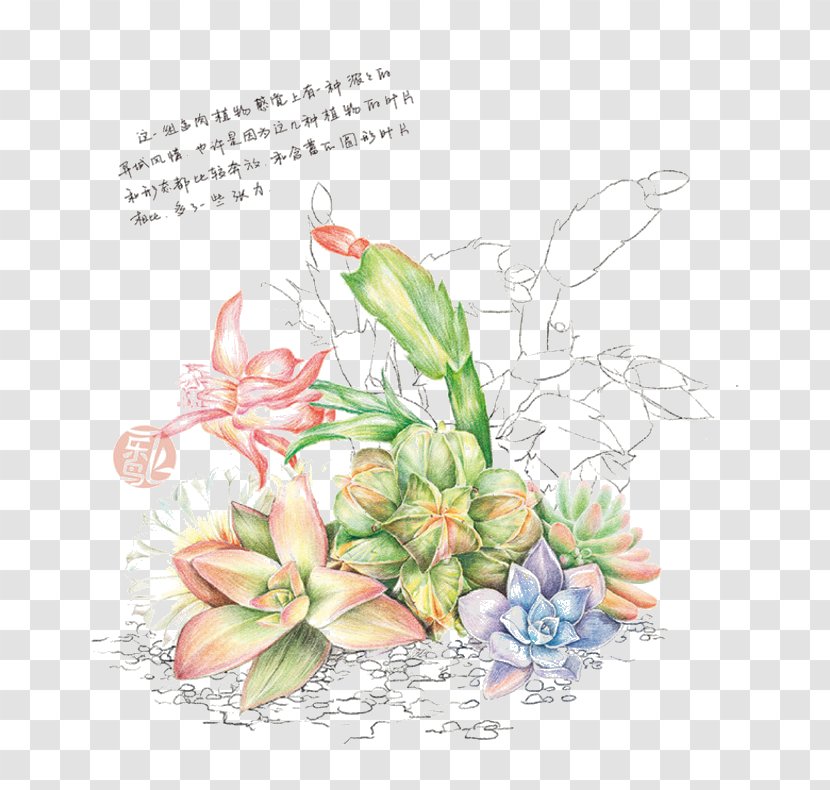 Floral Design Cut Flowers Petal Pattern - Plant Transparent PNG
