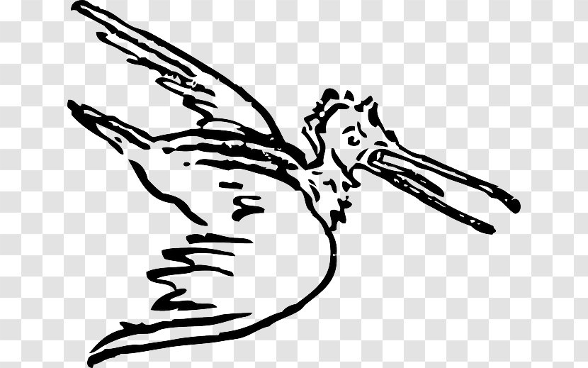 Pelican Bird Goose Cygnini Clip Art - Finger - Snipe Button Transparent PNG