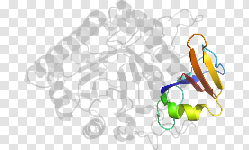 Organism Clip Art - Tree - Line Transparent PNG