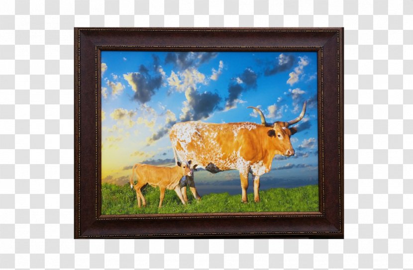 Texas Longhorn English Calf Stock Photography - Dairy Cattle - Independence Day Transparent PNG