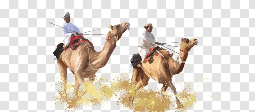 Dromedary Ecoregion Wildlife Camel - Emirates Palace Royal Transparent PNG