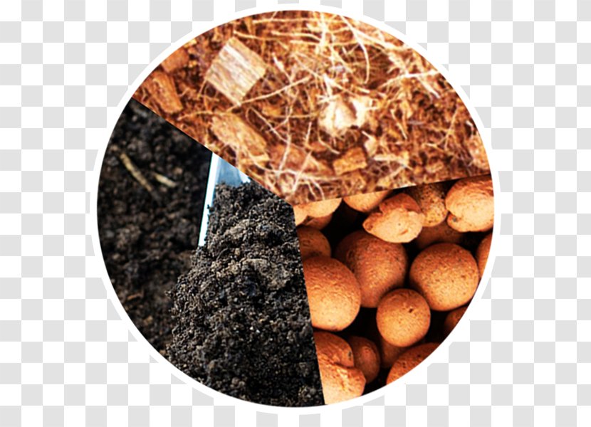 Lebkuchen Soil Garden - Hydroponic Transparent PNG