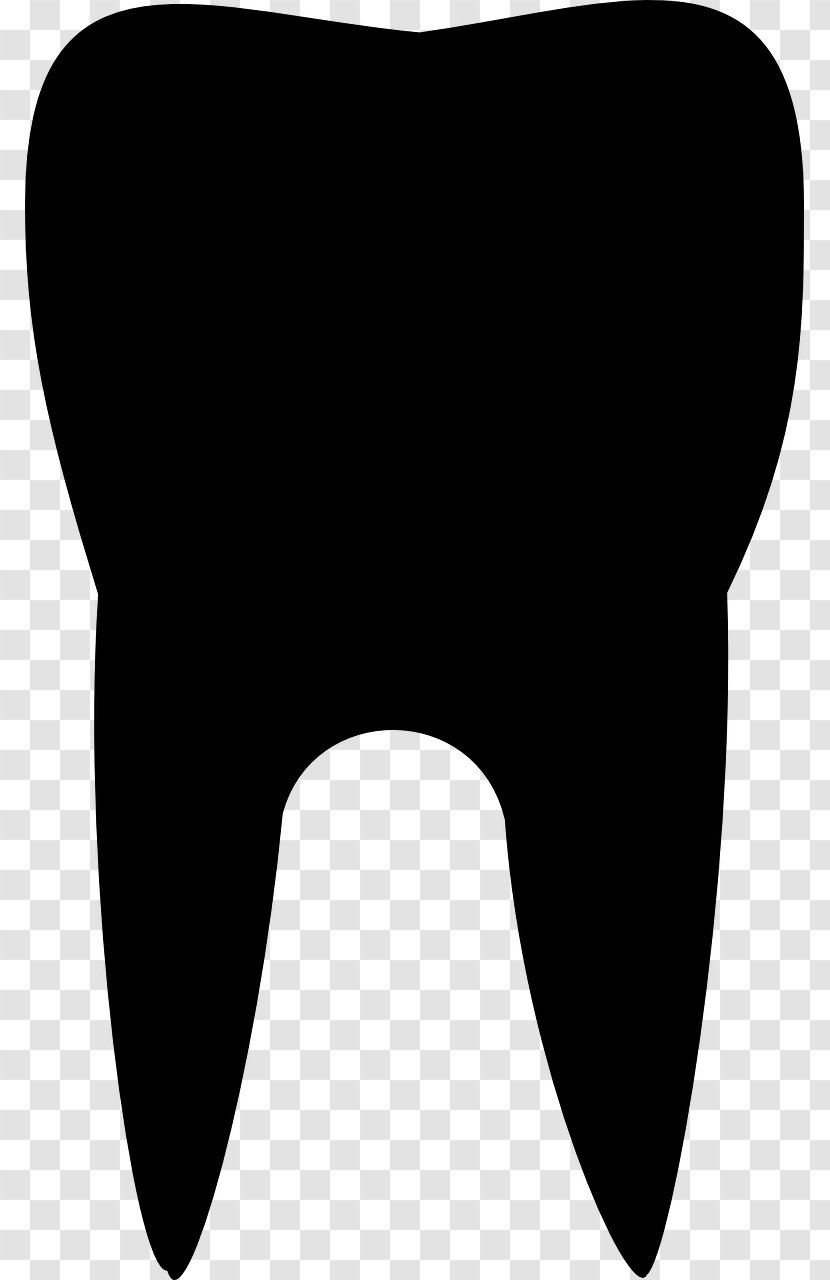 Tooth Brushing Molar Clip Art - Canine - Teeth Transparent PNG
