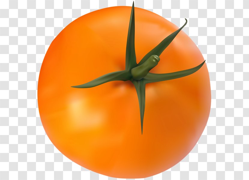 Tomato Vegetable Clip Art - Calabaza Transparent PNG