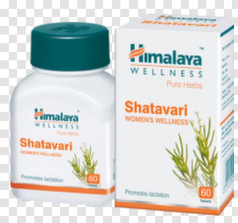 Shatavari The Himalaya Drug Company Tablet Ayurveda Health Care - Capsule Transparent PNG
