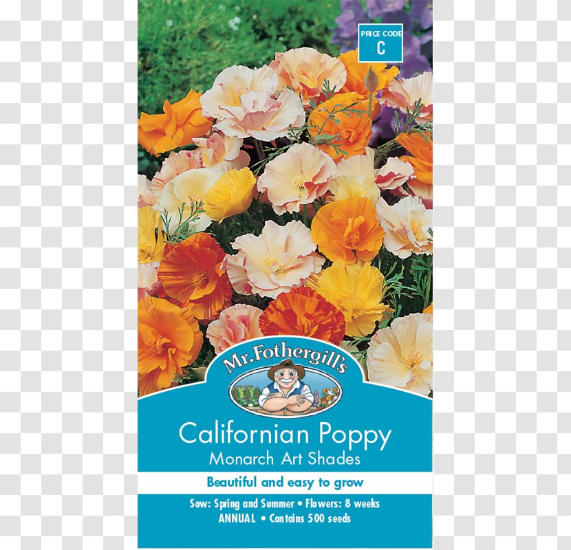 California Poppy Seed Flower Annual Plant - Cut Flowers Transparent PNG