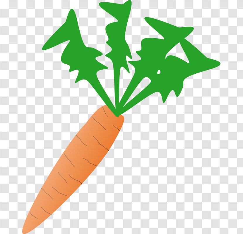 Carrot Vegetable Clip Art - Leaf - Pics Transparent PNG