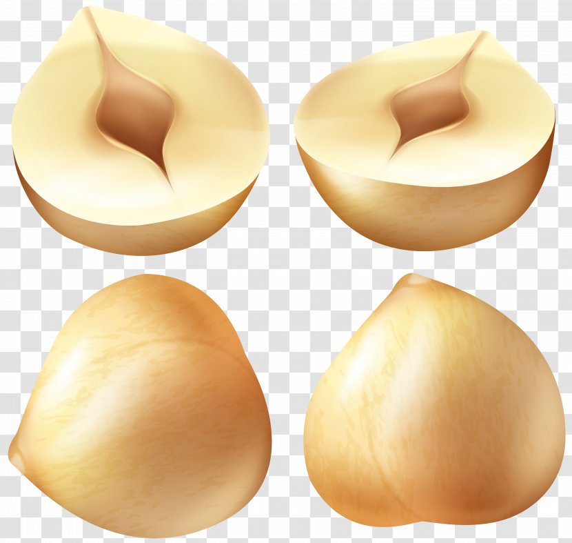 Clip Art - Nut - Hazelnuts Image Transparent PNG