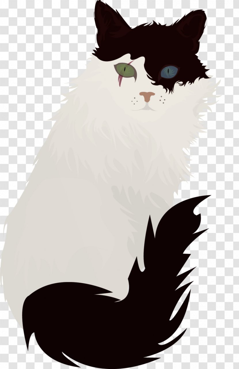 Whiskers Kitten Black Cat Dog - Snout Transparent PNG