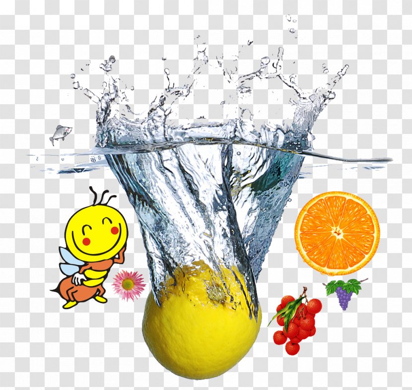 Juice Lemon Carbonated Water Distilled - Organism - Fruit In Transparent PNG