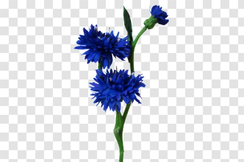 Plant Stem Blue Cut Flowers Artificial Flower Transparent PNG