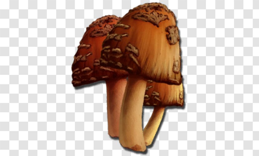 ARK: Survival Evolved Downloadable Content Mushroom Xbox YouTube - Abbildungsfehler - Ark Transparent PNG