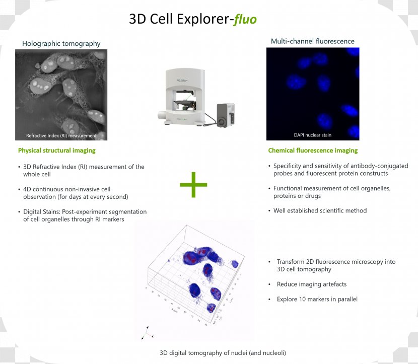 Fluorescence Microscope Cell Nucleus Microscopy Transparent PNG