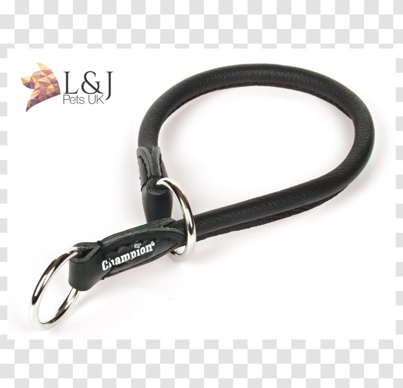 Leash Collar Leather Skin Champion - Chain Transparent PNG